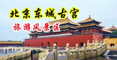 小屄在线观看中国北京-东城古宫旅游风景区